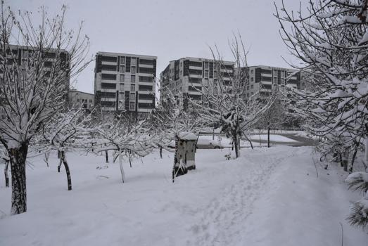 Bitlis'te 165 köy yolu kardan kapandı