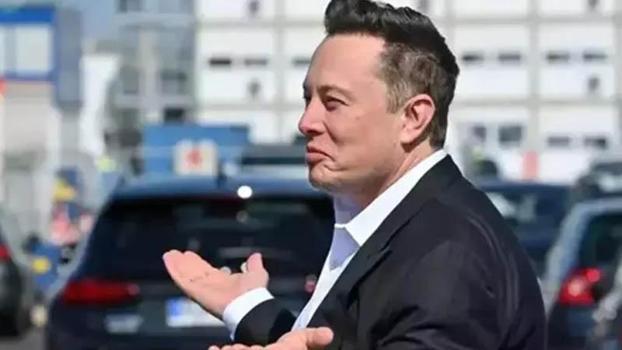 Almanya'dan Musk'a 'AfD' eleştirisi