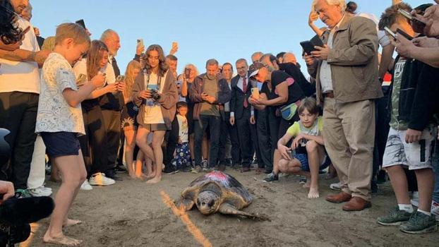 Caretta caretta 'Cumhuriyet'i 2 ayda 2 bin kişi izledi