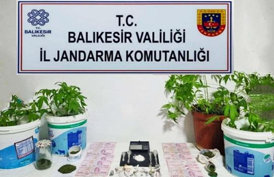 Balıkesir'de jandarmanın operasyonlarında 29 gözaltı