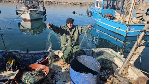 Zonguldak'ta bereketli balık sezonu