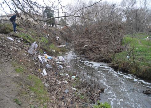 Balıkların öldüğü Saranlı Deresi'nde kimyasal maddeye rastlanmadı