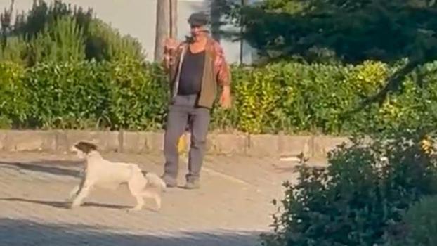 Olta ucuna bağladığı canlı güvercinle av köpeğine eğitim yaptıran kişiye para cezası