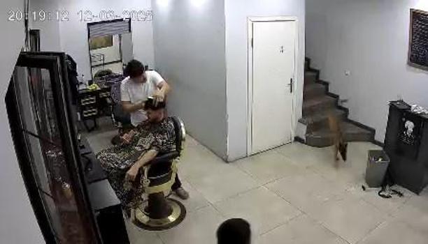 Köpek, kuaförde tedirginliğe neden oldu