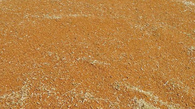Mardin’de 137 bin tonluk buğday vurgununda 9 tutuklama
