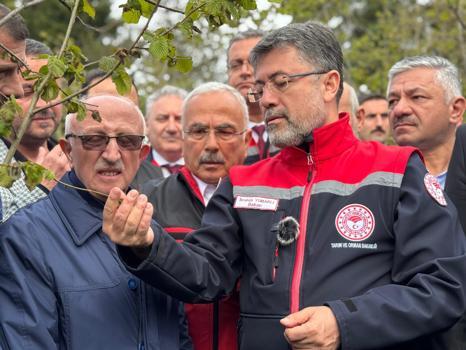Bakan Yumaklı: Zirai don nedeniyle zarar gören ağaçlarda gelişigüzel budama yapılmamalı
