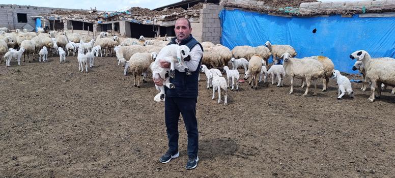 Kayseri'de 600 küçükbaş sahibi besici, çoban bulamıyor