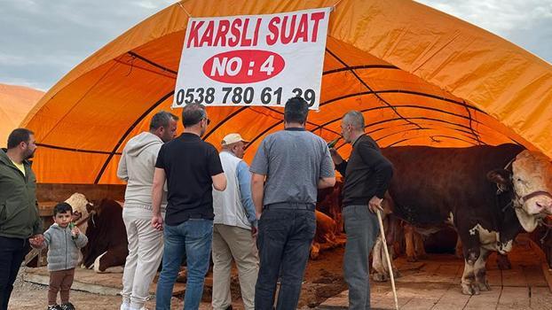 Ankara'da kurban pazarlarında yoğunluk