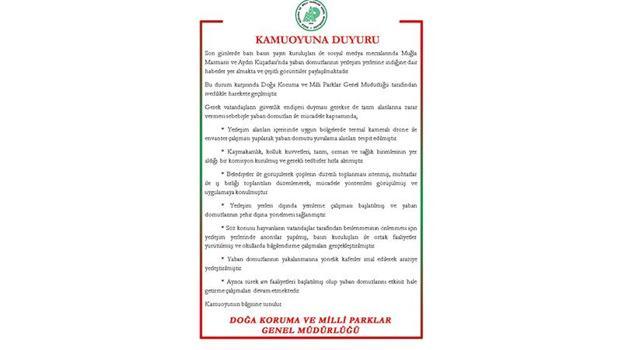 DKMP'den 'yaban domuzu' açıklaması