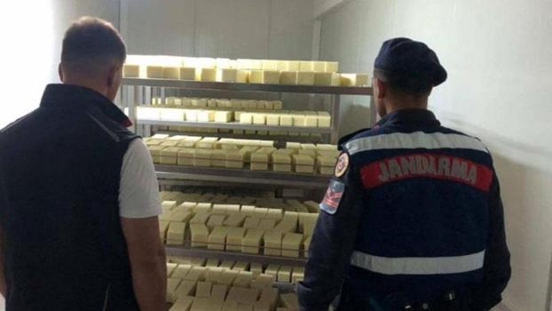 Sakarya'da 5 ton 'sahte' kaşar peyniri ele geçirildi