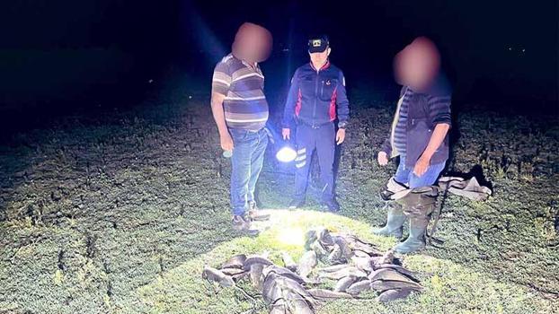 Uluabat Gölü'nde kaçak avcılara baskın; ele geçirilen 466 kilo canlı balık göle salındı