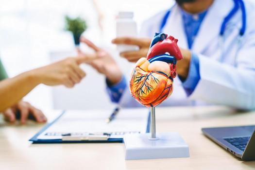 Prof. Dr. İsbir: Kalp kapak hastalıklarında risk yaşla artıyor, erken müdahale hayat kurtarıyor