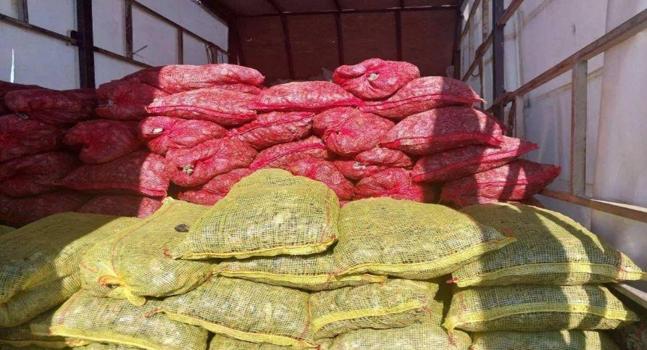 Sakarya'da 3 milyon TL değerinde kaçak midye ele geçirildi