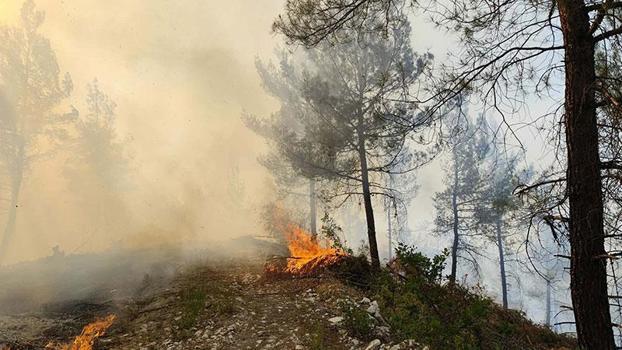 Balıkesir'de orman yangını