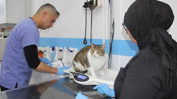 Hayvan tedavilerinde 'yapay zeka' desteği