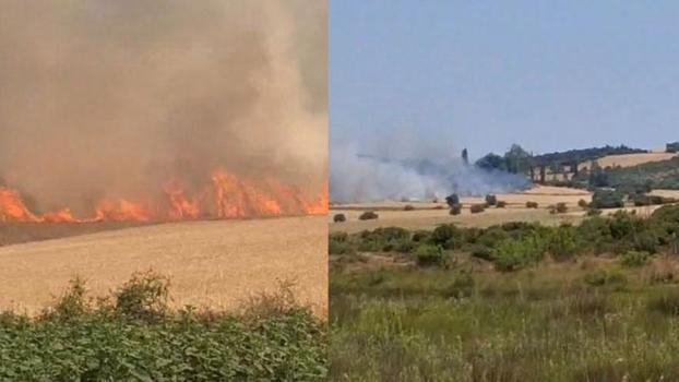 Çanakkale'de tarım arazisinde yangın