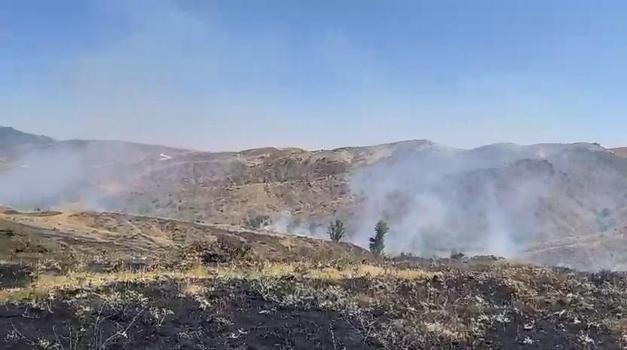 Bingöl’de çıkan örtü yangını 2 saatte söndürüldü
