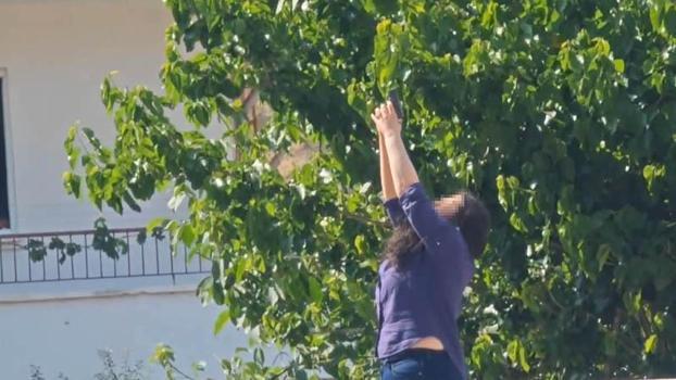 Erkek arkadaşının ofisine ateş açıp, kendini vurmaya çalıştı