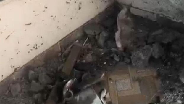Mardin’de balkondaki gaz kaçağı endişe yarattı