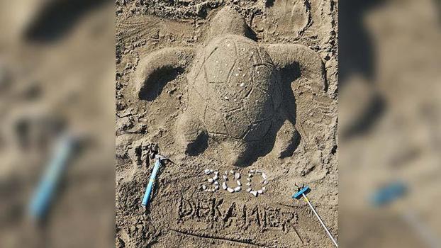 İztuzu Plajı'nda caretta yuva sayısı 300'e ulaştı