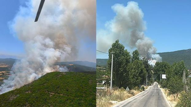 Bursa’da orman yangını