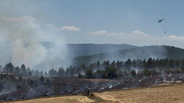 Kastamonu'da anız yangını ormana sıçradı; 10 hektar alan zarar gördü