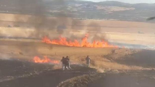 Çorum'da buğday tarlasındaki yangında 30 dönüm alan zarar gördü