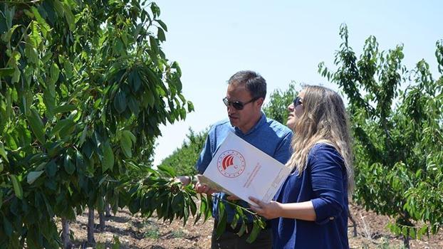 TBMM Zirai Don Olayını Araştırma Komisyonu, Eskişehir’de kiraz bahçelerini inceledi