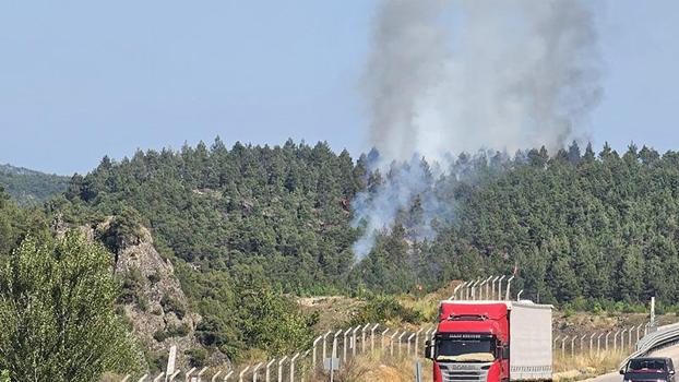 Tokat’ta çıkan orman yangını kontrol altında
