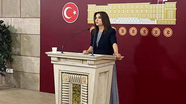 DEM Parti'li Koçyiğit: Komisyonun isminde 'demokrasi' kavramının olmasında ısrarcıyız