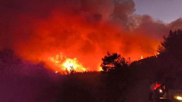 Hatay'da orman yangını