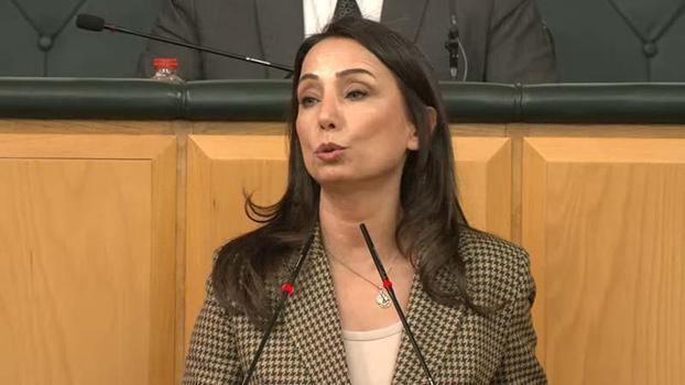 DEM Parti'li Hatimoğulları: Komisyonun Öcalan ile görüşmesi süreci daha da hızlandıracak