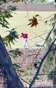 Belediye personeli, sokak köpeğini iple sürükledi