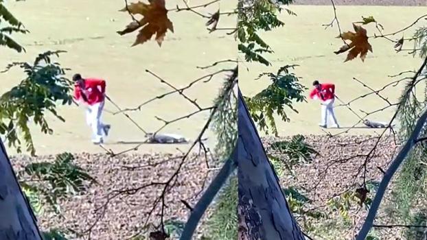 Belediye personeli, sokak köpeğini iple sürükledi