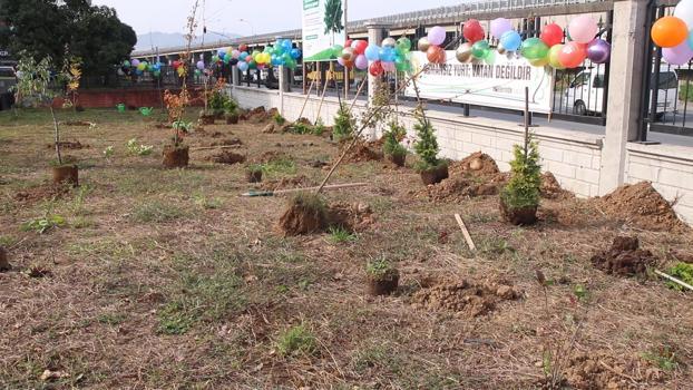 Rize’de Milli Ağaçlandırma Günü’nde 165 bin fidan toprakla buluşacak