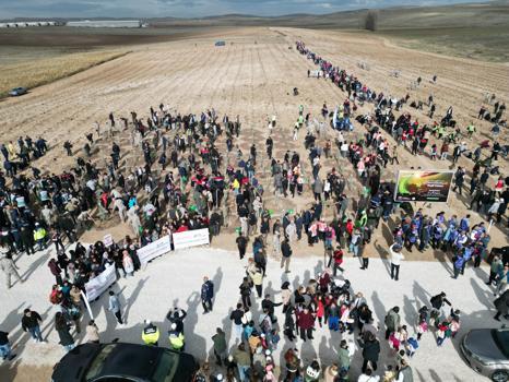 Odunpazarı’nda 20 bin fidanın dikimi gerçekleştirildi