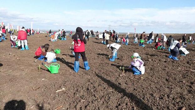 Milli Ağaçlandırma Günü'nde Silivri'de 15 bin fidan dikildi