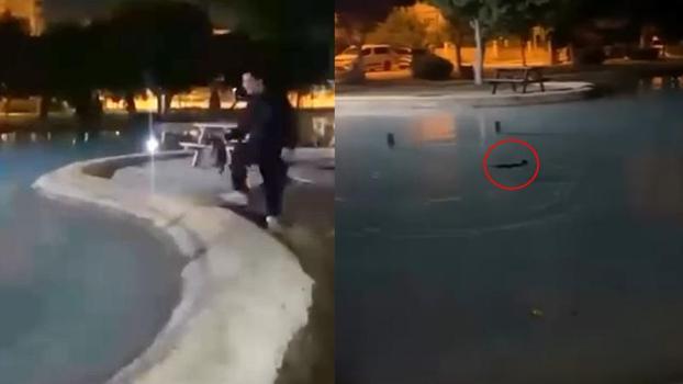 Sokak kedisini defalarca süs havuzuna attılar