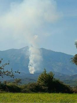Muğla Seydikemer'de orman yangını
