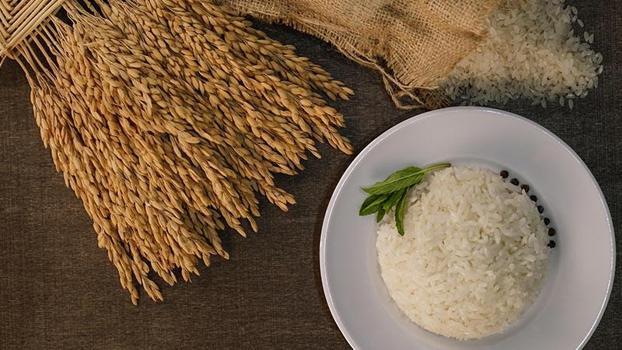 İpsala pirinci, AB Coğrafi İşaret Tescili aldı