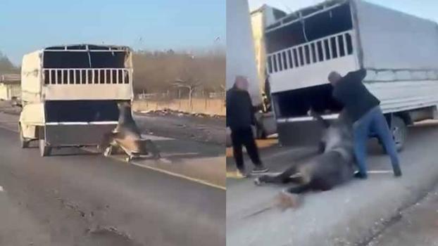 Kamyonetin arkasına bağladığı atı dakikalarca sürükledi; o anlar kamerada