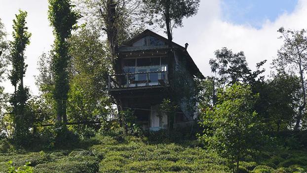 İki kardeşin hayali gerçek oldu; atık malzemeden manzaralı ağaç ev yaptılar