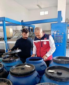 Zeytinyağı üretim tesislerinde inceleme
