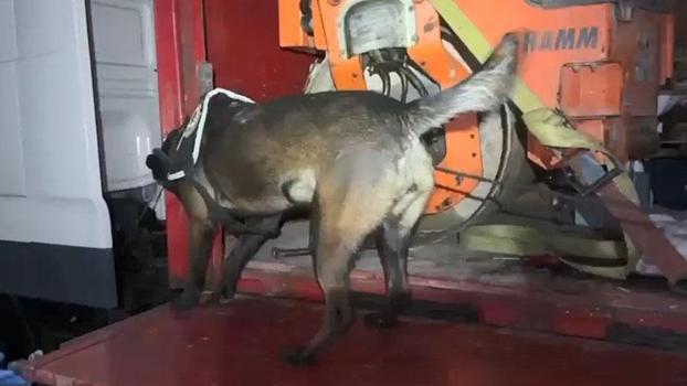 TIR'a yüklü asfalt silindir makinesine gizlenmiş 102 kilo metamfetamin ele geçirildi