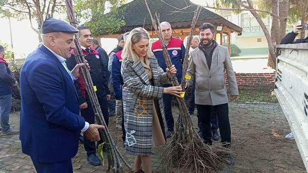 Nazili'de üreticilere toplam 4 bin kestane fidanı dağıtıldı