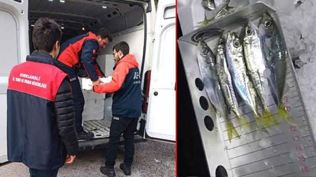 Kırklareli'de el konulan 3 ton istavrit ihtiyaç sahiplerine dağıtılacak