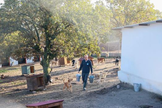 Sahiplendiği 2 köpeği sokağa terk eden kadına 172 bin 716 TL ceza