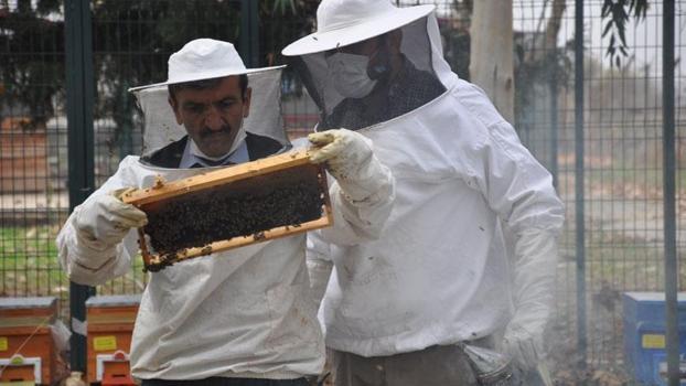'İyi bal donar, mutlaka sıvı olması gerekmiyor'