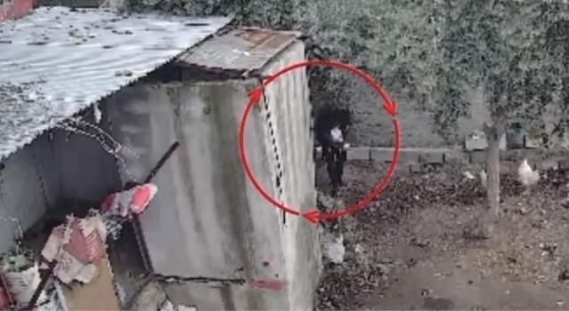 Osmaniye’de kümeslerden tavuk çalan şüpheli tutuklandı; hırsızlık anı kamerada