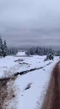 Arkut Dağı'nda kar kalınlığı 10 santime ulaştı